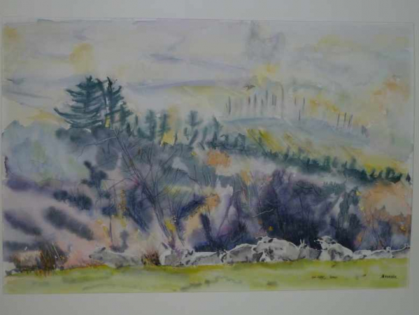 Galerie